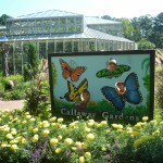 Butterflies, Beaches, and Gardens, Oh My!