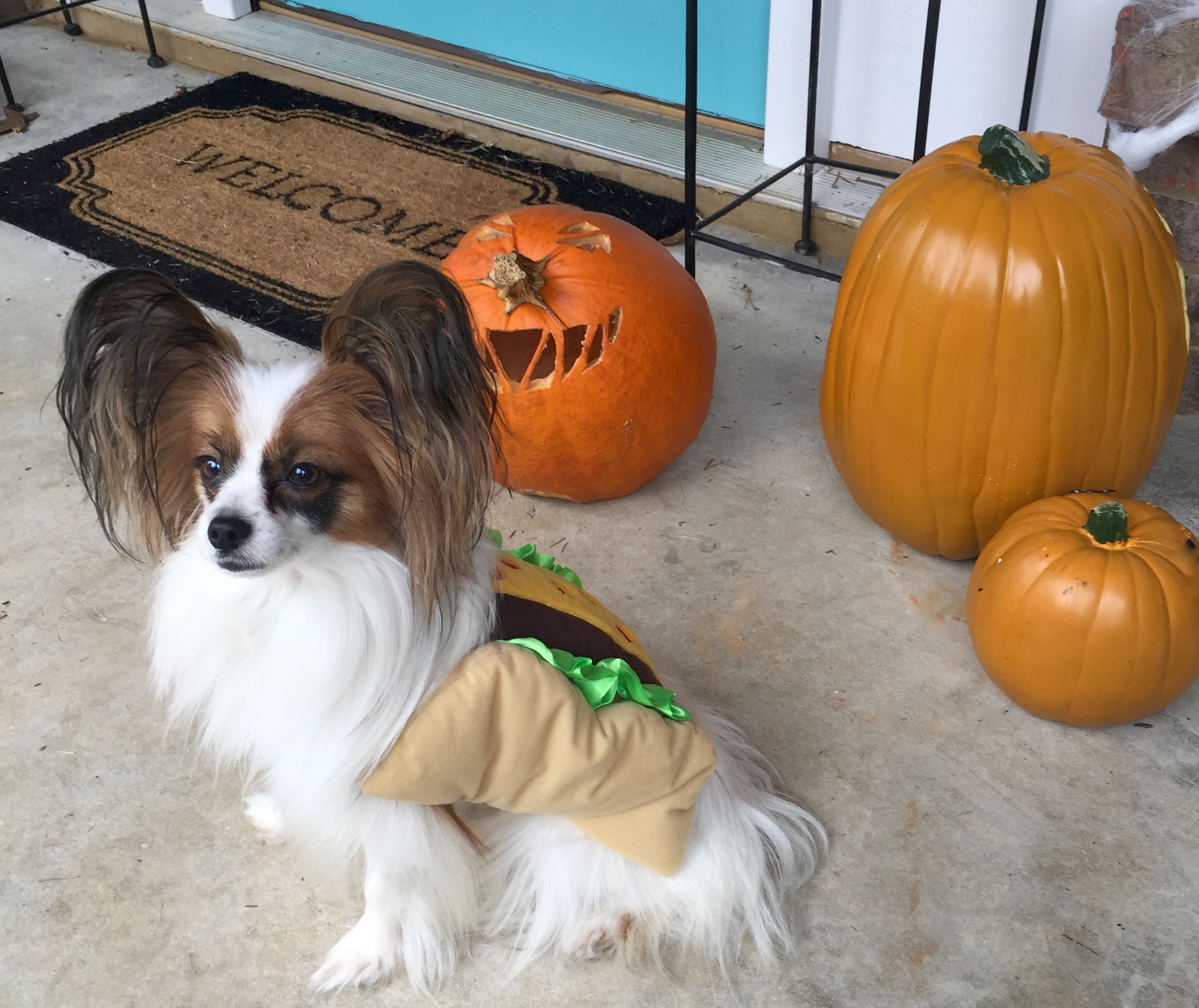 Our Family Costumes